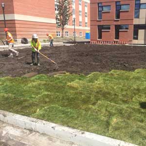 Workers Doing Landscaping