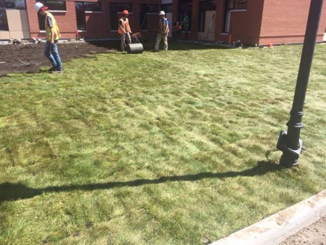 Laying New Sod