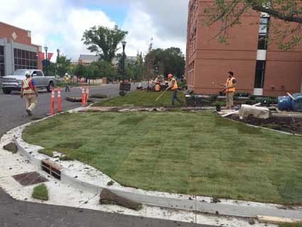 New curb landscaping